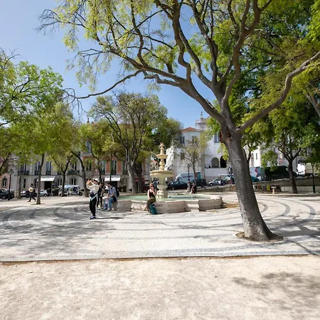 Bairro Alto Lovely Studio, Sao Pedro De Alcantara Lejlighed *